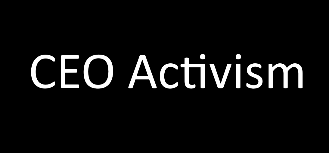 Hvad er CEO activism?